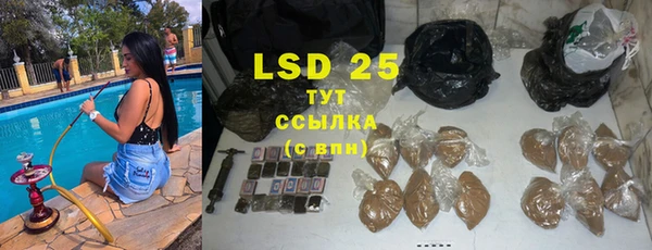 ешки Аркадак