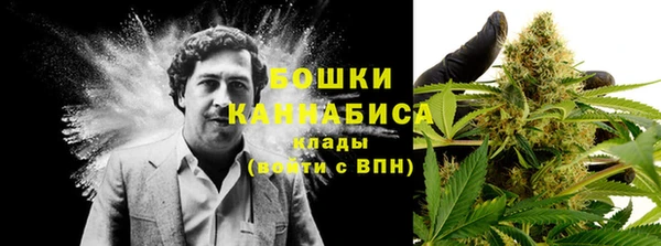 ешки Аркадак