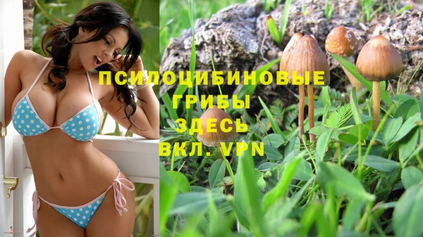 бутик Пересвет