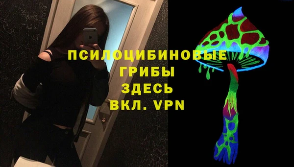 ешки Аркадак